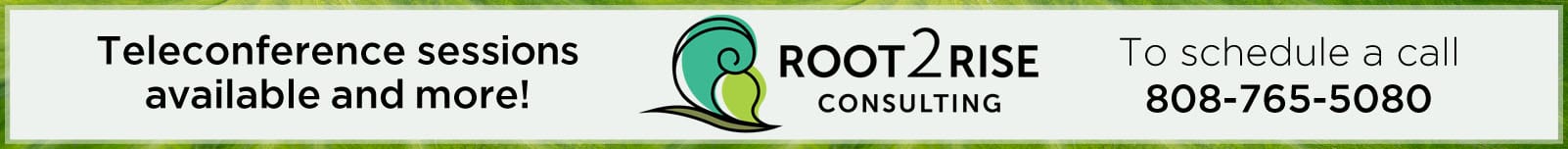 Root2Rise Counseling Center Hilo