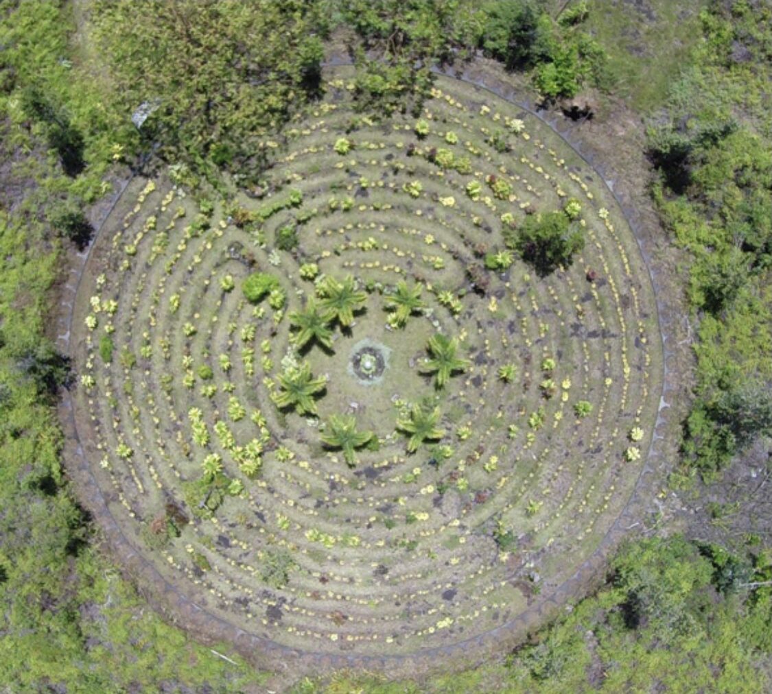 Aerial Labyrinth image