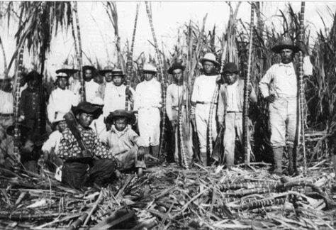 Sugar Plantation Workers, Kauai